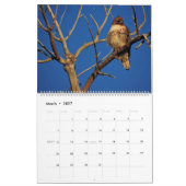 2026 Roofvogel Roes Kalender (Mar 2027)