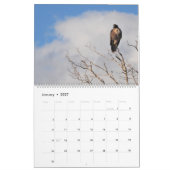 2026 Roofvogel Roes Kalender (Jan 2027)