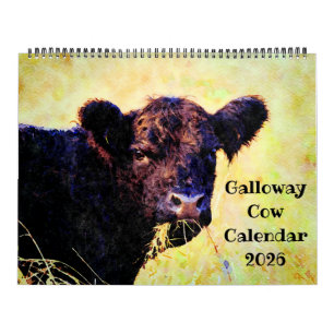 2026 Schattige Galloway Koe Rundvee Aquarel Schild Kalender
