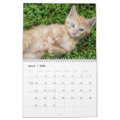 2026 Schattige Kittens Twaalf maanden Cat Kalender (Mar 2026)