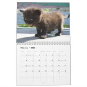 2026 Schattige Kittens Twaalf maanden Cat Kalender (Feb 2026)