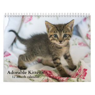 2026 Schattige Kittens Twaalf maanden Cat Kalender
