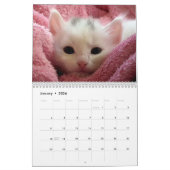2026 Schattige Kittens Twaalf maanden Cat Kalender (Jan 2026)