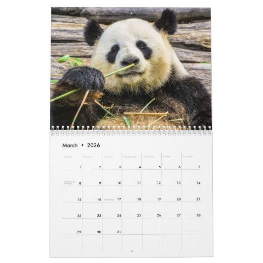2026 Schattige panda's Kalender (Mar 2026)