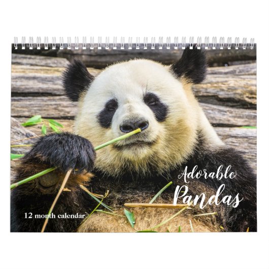 2026 Schattige panda's Kalender (Hoes)