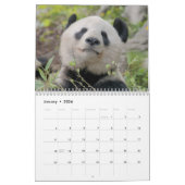 2026 Schattige panda's Kalender (Jan 2026)