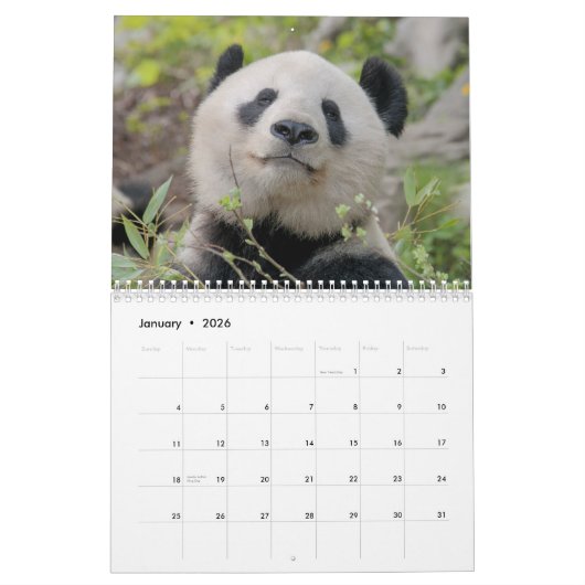 2026 Schattige panda's Kalender (Jan 2026)