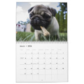 2026 Schattige Puppies Twaalf maanden Hond Kalender (Mar 2026)