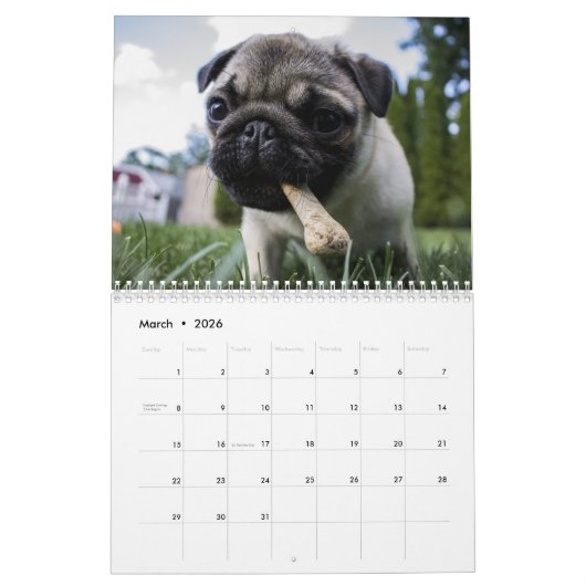 2026 Schattige Puppies Twaalf maanden Hond Kalender (Mar 2026)