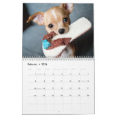 2026 Schattige Puppies Twaalf maanden Hond Kalender (Feb 2026)