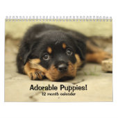 2026 Schattige Puppies Twaalf maanden Hond Kalender (Hoes)