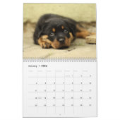 2026 Schattige Puppies Twaalf maanden Hond Kalender (Jan 2026)