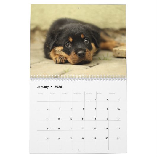 2026 Schattige Puppies Twaalf maanden Hond Kalender (Jan 2026)