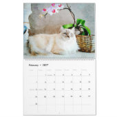 2026 Schattige Rag Doll Kat Mam Liefhebber Eigenaa Kalender (Feb 2027)