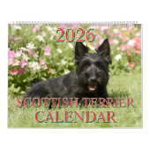 2026 SCOTTISH TERRIER CALENDAR KALENDER (Hoes)