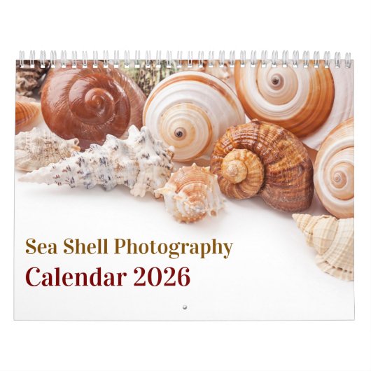 2026 Sea Shell | Coastal Shell Photography Kalender (Hoes)
