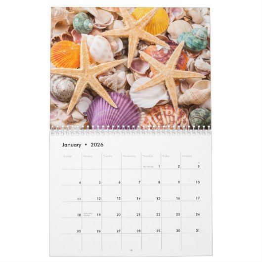 2026 Sea Shell | Coastal  Shell Photography Kalender (Jan 2026)