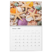 2026 Sea Shell | Coastal  Shell Photography Kalender (Jan 2027)