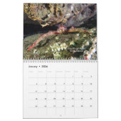 2026 SeaHorse Dive Club Photo Contest Calendar Kalender (Jan 2026)