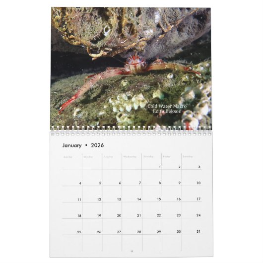 2026 SeaHorse Dive Club Photo Contest Calendar Kalender (Jan 2026)