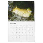 2026 SeaHorse Dive Club Photo Contest Calendar Kalender (Mar 2026)