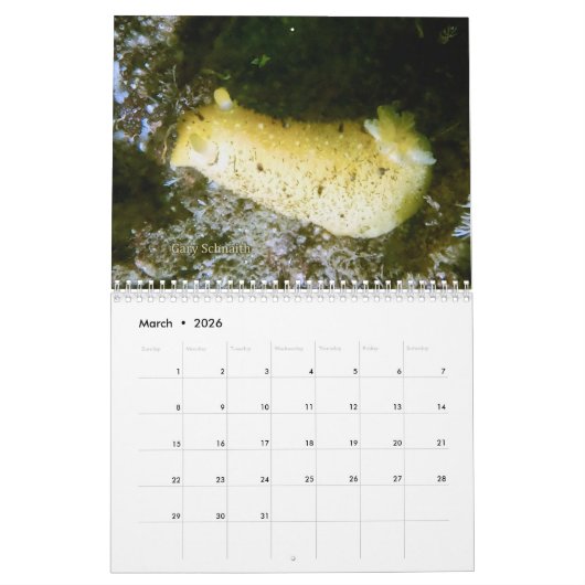 2026 SeaHorse Dive Club Photo Contest Calendar Kalender (Mar 2026)