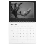 2026 Shades of Light & Shadow Kalender (Mar 2026)