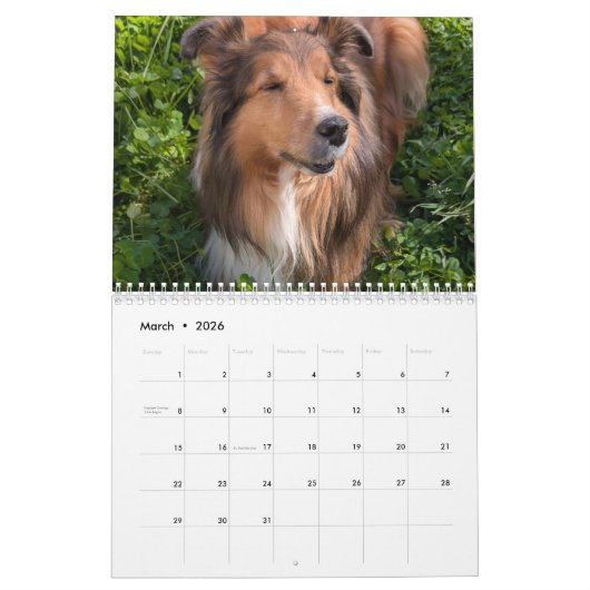 2026 Sheltie Calendar Kalender (Mar 2026)