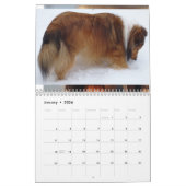 2026 Sheltie Calendar Kalender (Jan 2026)