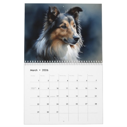 2026 Shetland Sheepdog Kalender (Mar 2026)