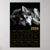 2026 Siberian Husky Calendar  Poster (Voorkant)