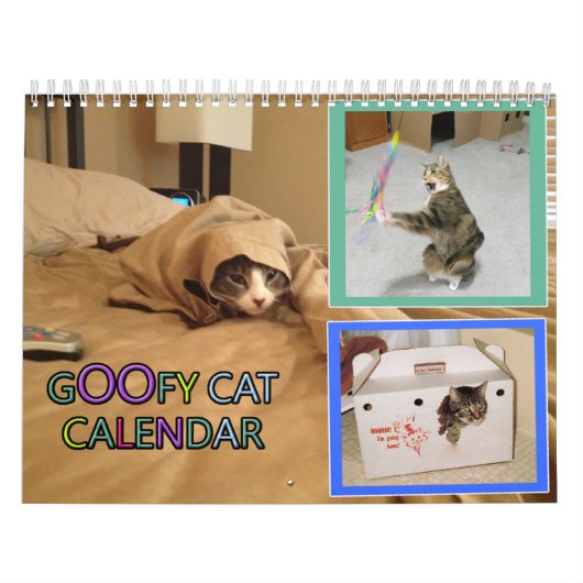 2026 silly cat Calendar Kalender (Hoes)