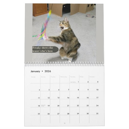 2026 silly cat Calendar Kalender (Jan 2026)