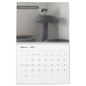 2026 silly cat Calendar Kalender (Feb 2027)