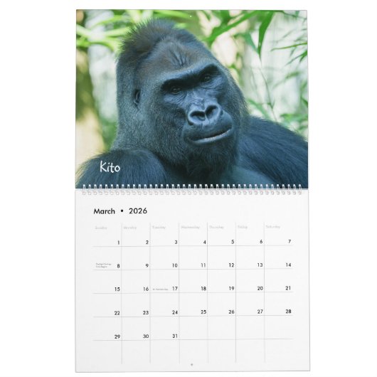 2026 Silverback Kalender (Mar 2026)