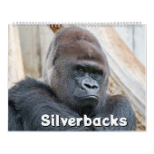 2026 Silverback Kalender (Hoes)