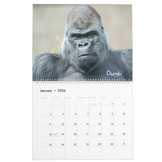 2026 Silverback Kalender (Jan 2026)