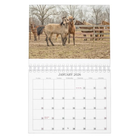 2026 SIMPLE HORSES CALENDAR KALENDER (Jan 2026)