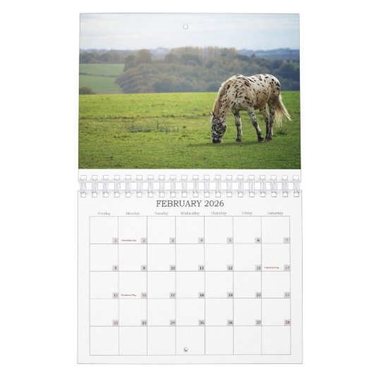 2026 SIMPLE HORSES CALENDAR KALENDER (Feb 2026)