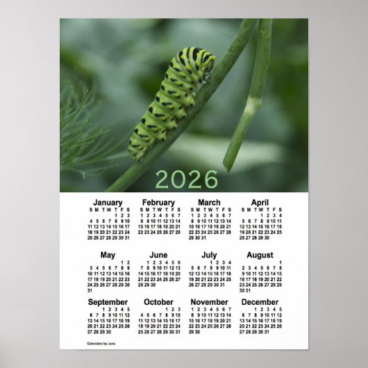 2026 Slik Tail Caterdepijlerkalender door Janz Poster (Voorkant)