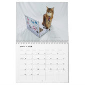2026 Somali Cat Calendar Featuring Summer Samba Kalender (Mar 2026)