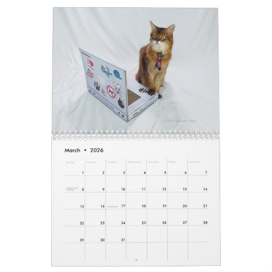 2026 Somali Cat Calendar Featuring Summer Samba Kalender (Mar 2026)