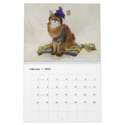 2026 Somali Cat Calendar Featuring Summer Samba Kalender (Feb 2026)