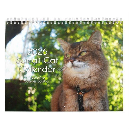 2026 Somali Cat Calendar Featuring Summer Samba Kalender (Hoes)