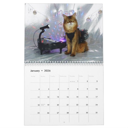 2026 Somali Cat Calendar Featuring Summer Samba Kalender (Jan 2026)