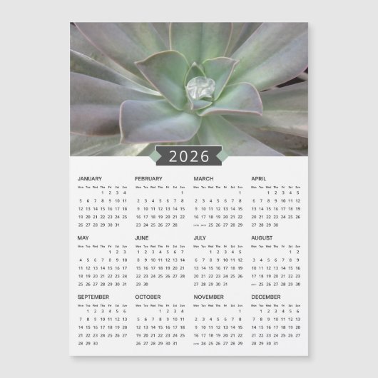 2026 Succulent Fotokalender Magneet (Voorkant)