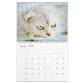 2026 Sweet Scottish Fold Cat Lover Owners Gift Kalender (Jan 2027)