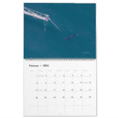 2026 Swordfish Calendar Kalender (Feb 2026)