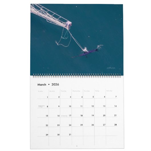 2026 Swordfish Calendar Kalender (Mar 2026)