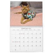 2026 TCF and Friends Calendar Kalender (Feb 2027)